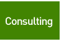 Consulting