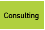 Consulting